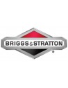 Bruiggs & Stratton